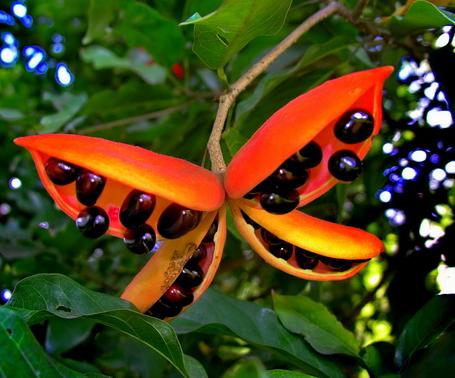 手机尾号是啥，能够大吉顺利保佑平安无病钱财无数