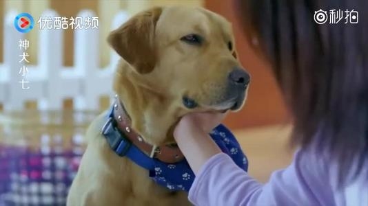 电视剧泄露私人手机号 出品方被判赔3.5万元