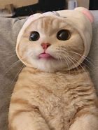 招聘电话可信吗?