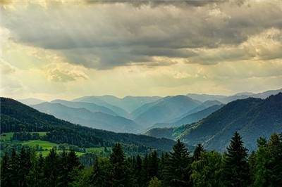 号码管理 号码管理