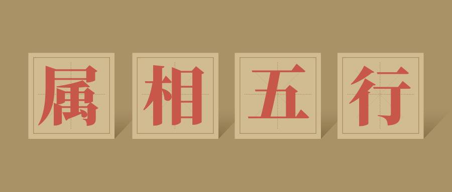 属相五行 选择号码首先是看尾数,尾数一般是根据五行来确定的,一般情况下,3和8代表的是木,2和7代表的是火,5和0则代表土,4和9则代表的是金,还有1和6两个数字代表的是水。