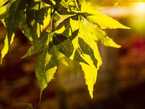 18f19915f4a14c9b914ed3b7c4cf15b8.jpg 大家无论是选择住宅还是手机号码,都是想让吉祥如意,顺风顺水的。希望自己的财富有所积累,毕竟财只有留得下积得住,才算是有财。