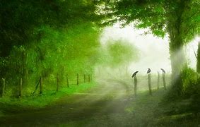 很多人都知道中国移动中的号段1390是最有价值的。那么联通号段中,哪些的价值高呢?