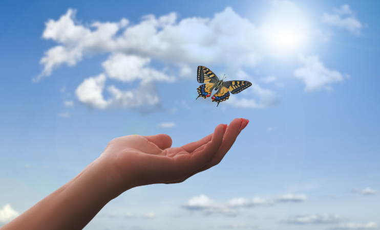 手机号段 每个手机号码都有对应的价值,每个人用的号码都是经过自己的精挑细选,或是对自己有意义的,或者是某个纪念日或者生日,抑或是钟情于某个数字,还有可能是选择自己的幸运数字。或者是吉祥数字或者手机靓号。