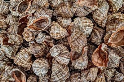 手机号码 你知道我们手机号码里面的数字到底对工作的影响有多大吗?