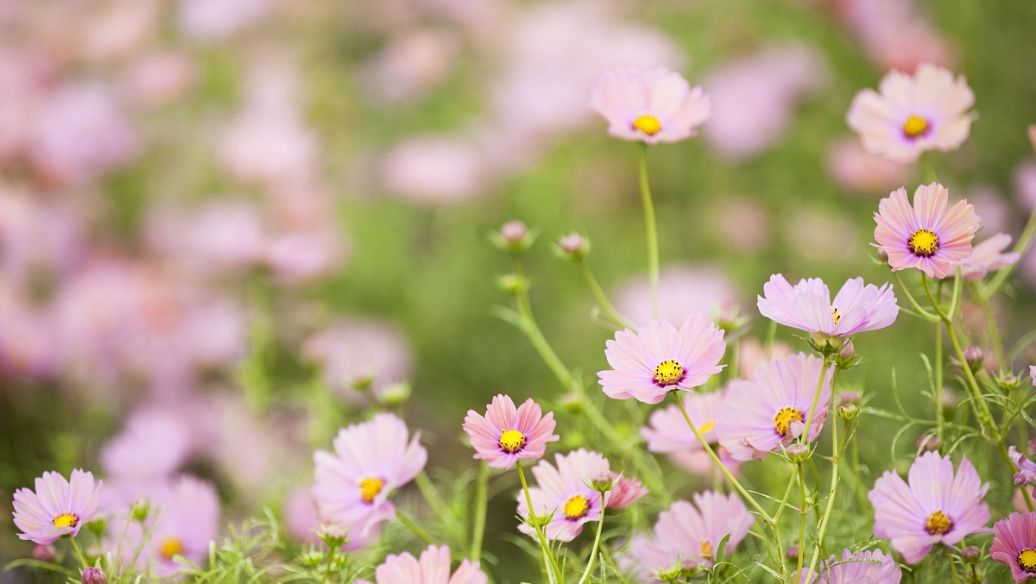 199号段你了解多少?