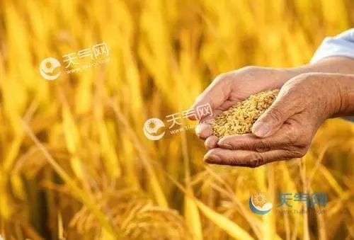 移动号码变空号了,怎样重新激活?