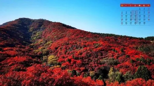 手机号码如何选适合自己的1349风水号码?