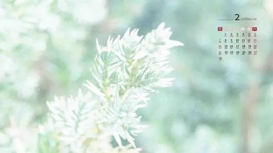 136号段为什么感觉用户很少?