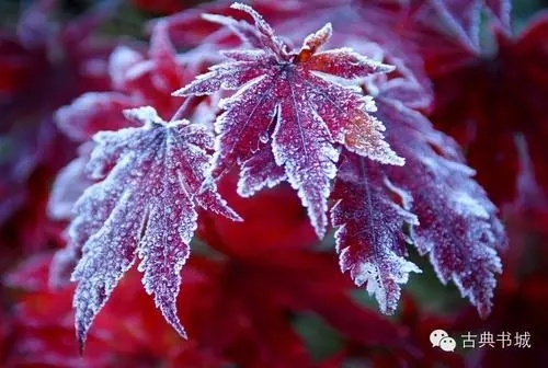 个人实名认证的手机号,且入网时间超过1年才能开立个人银行户