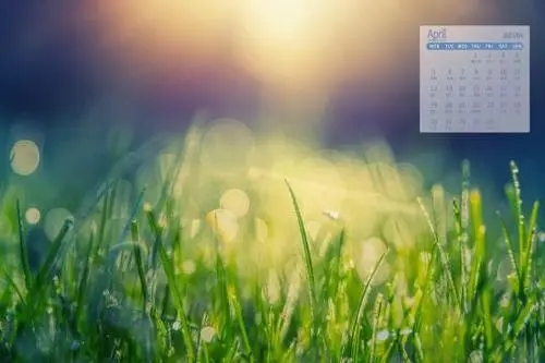 你的移动手机号码隐藏多少福利?什么是星级服务?