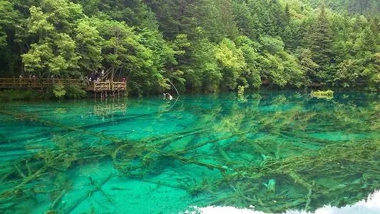 移动号码变空号了,怎样重新激活?