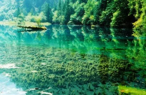 移动手机号欠费停机不管会怎么样?