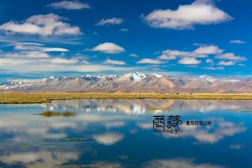 手机号码位数不够用了,投资靓号刻不容缓