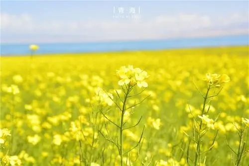 如何判定手机号码的阴阳属性