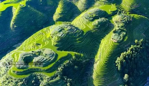 如何辨别“二手”手机号，问题一大堆，这几招贼简单，必会！