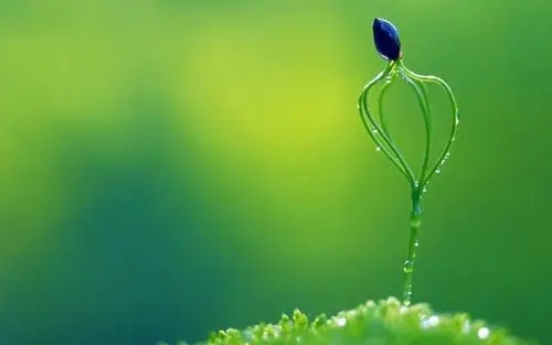 手机号码被回收的前提协议,你注意过吗?