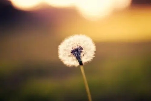 通过手机号定位是真的吗?