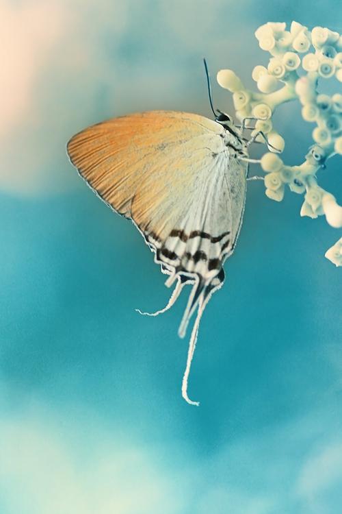 手机号码含有哪些数字磁场会使你压力巨大？