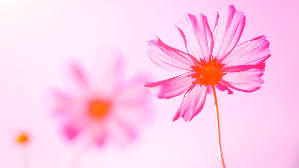 手机号码靓号网探寻手机号和生辰数字关系