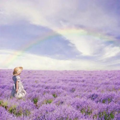 利用手机卡开卡环节恶意注册出售“黑号” 1.6万余名违法犯罪嫌疑人被抓获