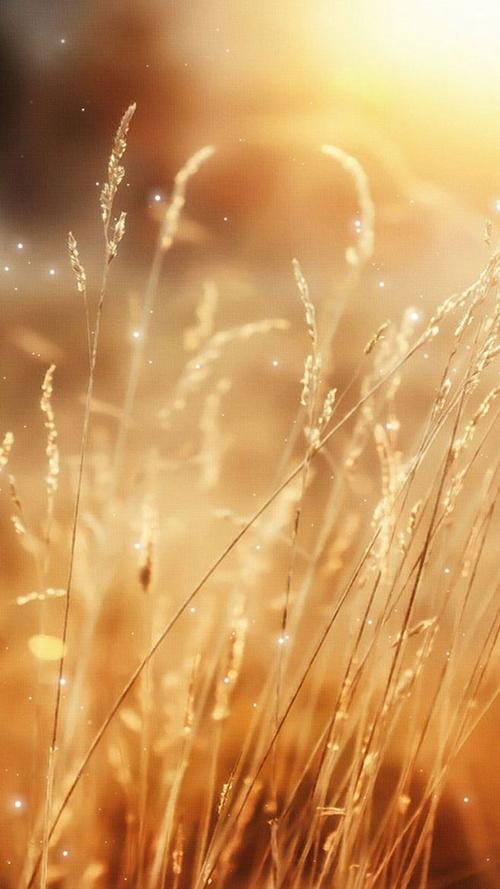 泰康人寿强赠保险,填个手机号就被投保,律师:可能违规了!