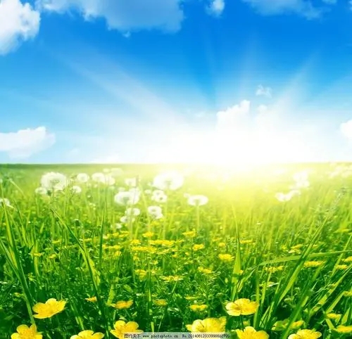 特殊电话号码有哪些?