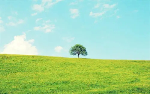 一个手机“靓号”法院拍出5万元