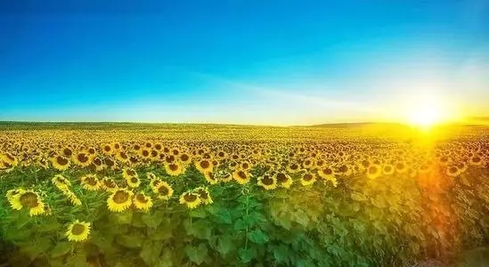 5G手机靓号选号技巧篇,你都学会了吗?