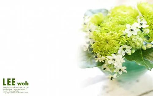 手机靓号运势:手机号码测爱情