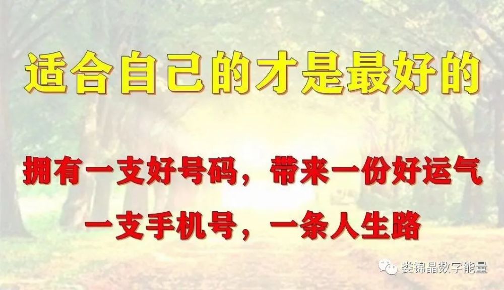 手机号码风水学,彻底改变了他们的生活!