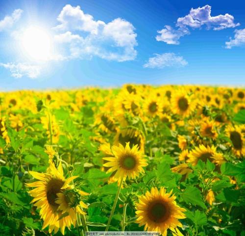 数字能量之手机号码带来的数字人生路