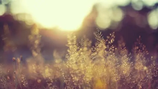 手机号码中含有483可能会有什么样的影响