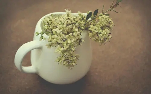 联通手机号携号转网到移动怎么办理?