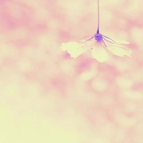 联通手机套餐价格表2021年