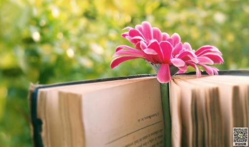 解读数字人民币钱包 最低权限钱包用手机号码就可开通