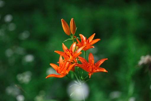 杭州移动送福利,教你如何省话费