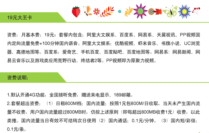 电信视频大流量19元大王卡100分钟+ 40G（阿里百度网易定向流量）