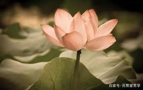 为什么不建议自己改手机号码，胡乱改号只会适得其反