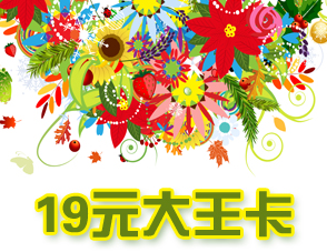 大王卡 电信:视频大流量19元大王卡100分钟+ 40G