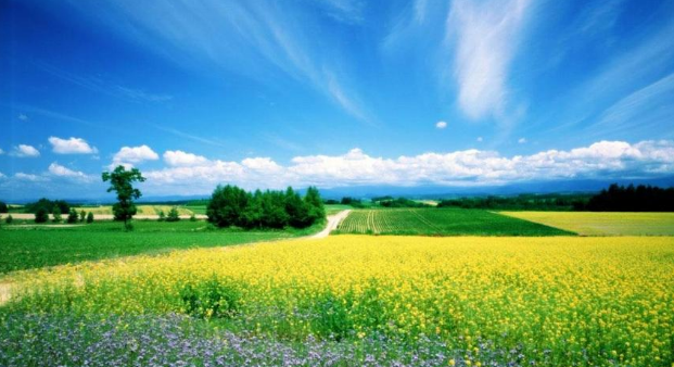 身份证查手机号码 拿别人的身份证可以查到手机号码吗？