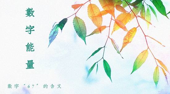 67.jpeg 1349风水能量号