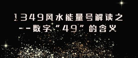 49.jpeg 1349风水号