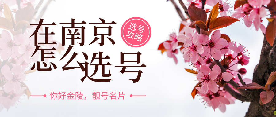 在南京怎么选号 在南京怎么选号