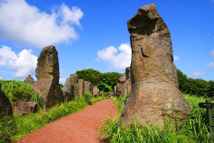 财富数组 财富数组