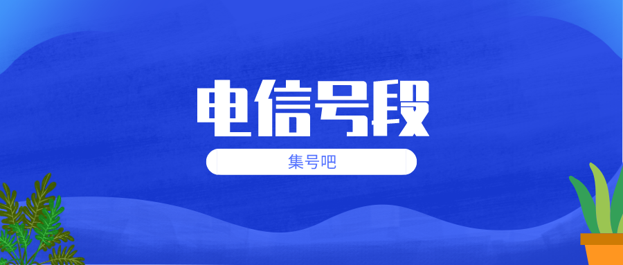 电信号段 电信号段