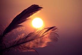 700a62932543b3dff63ca4ddd227c079.jpg 700a62932543b3dff63ca4ddd227c079.jpg