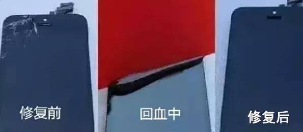 修复.jpg 修复.jpg